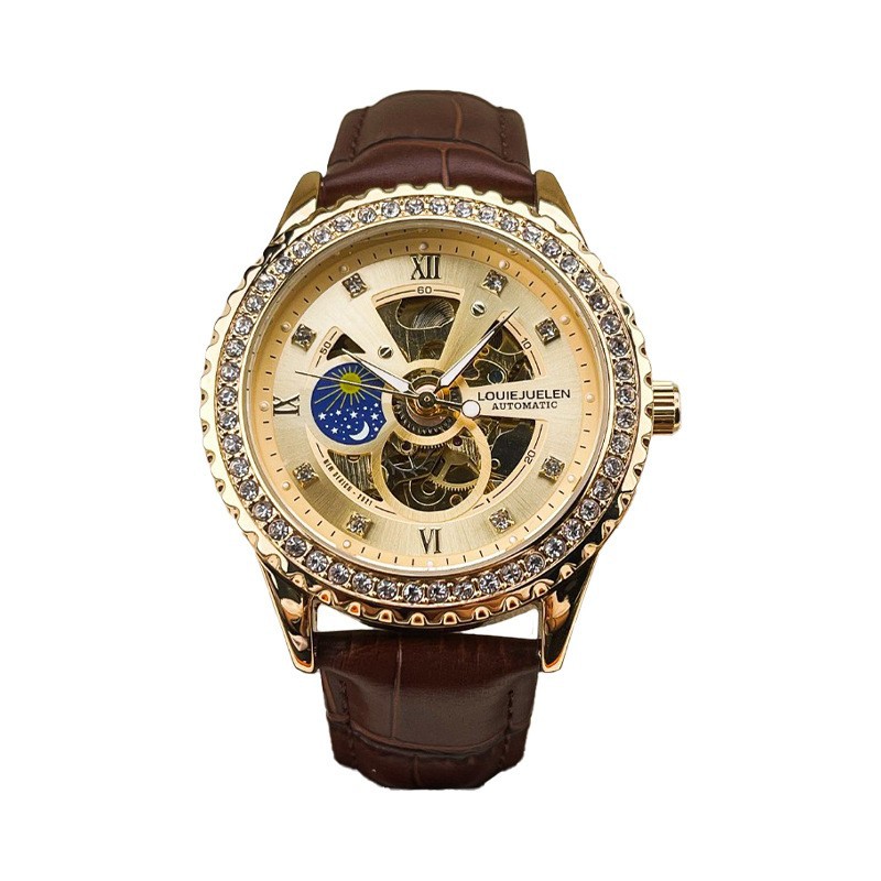 Men's Mechanical Watch with Su - огляд і ціна Luxury Watch On Sale