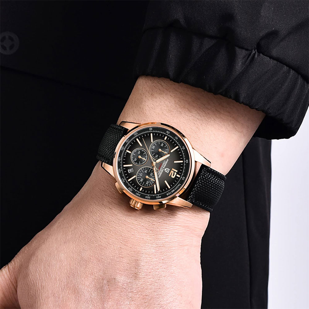 PAGANI DESIGN New Mens Watch 4 - огляд і ціна Luxury Watch Business