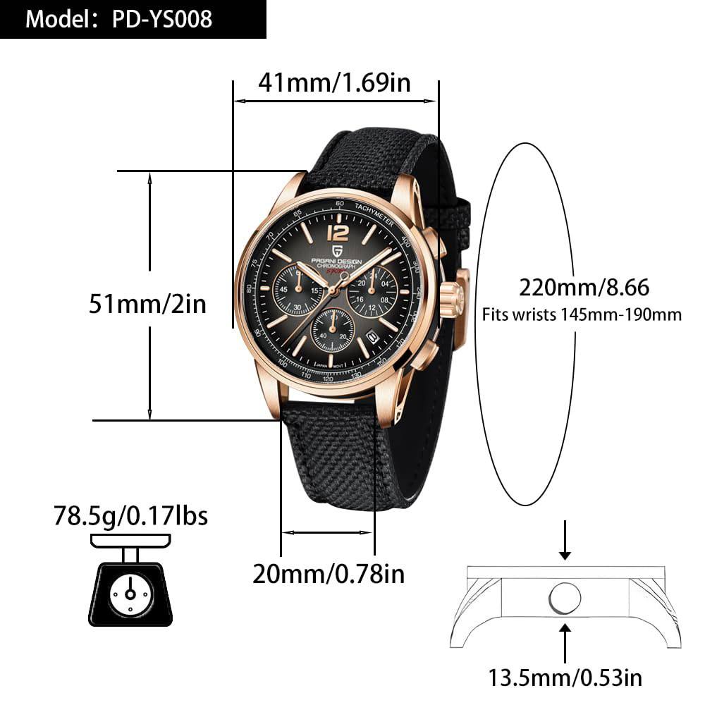 PAGANI DESIGN New Mens Watch 4 - огляд і ціна Luxury Watch Business